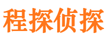 凤台市侦探公司